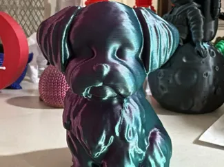 Cachoro maltes
