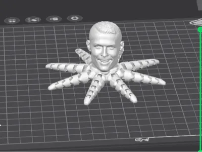 ronaldo octopus 