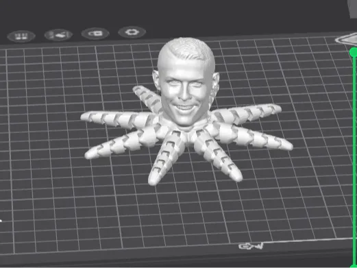 ronaldo octopus 