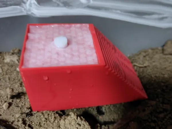 https://makerworld.bblmw.com/makerworld/model/DSM00000001497823/design/2025-06-08_7618e9bee8bbd.jpg