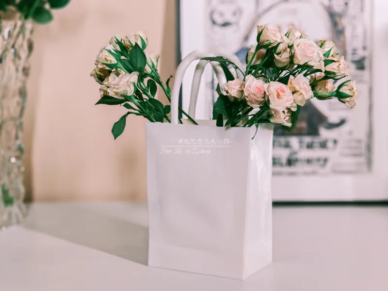 Paper Bag Vase—花瓶丨独特的纸袋花瓶【可装水！】