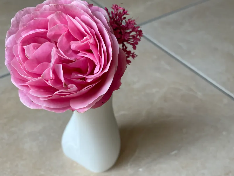 modern vase/pencil holder