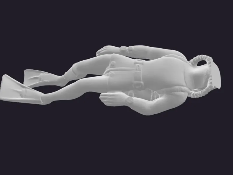 Diver
