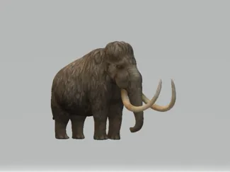 mammoth