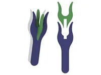 Fourche à tresser double (lucet) — photo 1