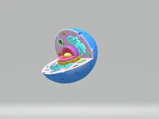 animal cell