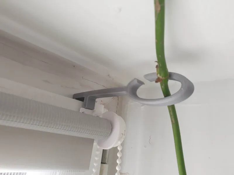 flower holder on the window