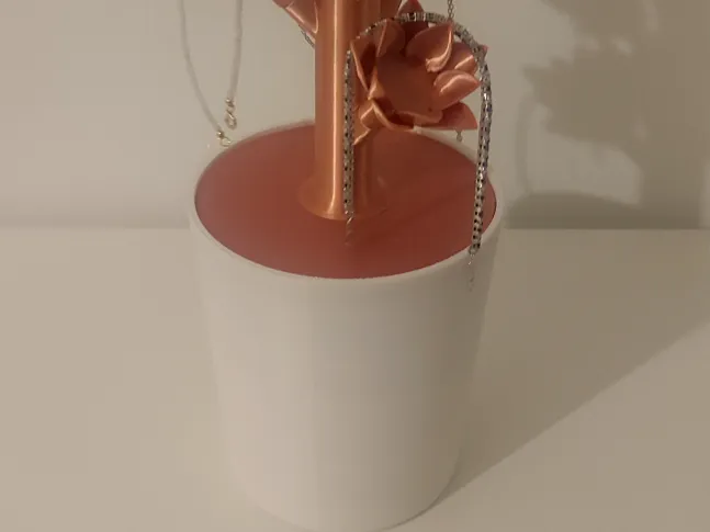 JEWELRY HOLDER PLANT
