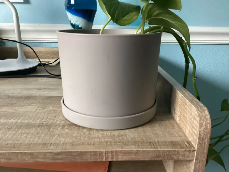 plant pot