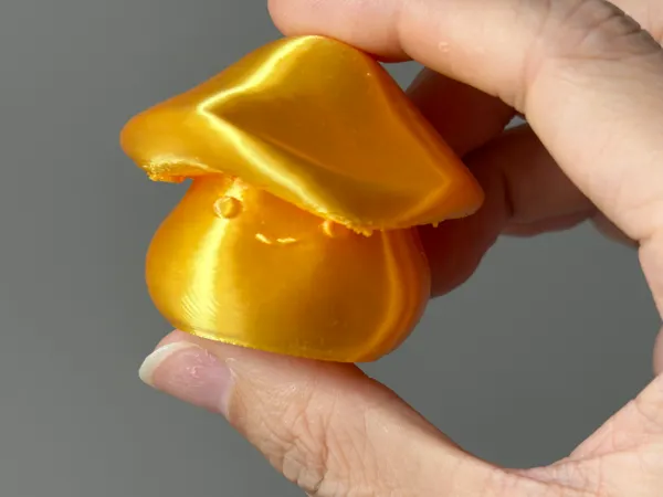 https://makerworld.bblmw.com/makerworld/model/DSM00000001501091/design/2025-06-09_38823f58ef1e4.jpg