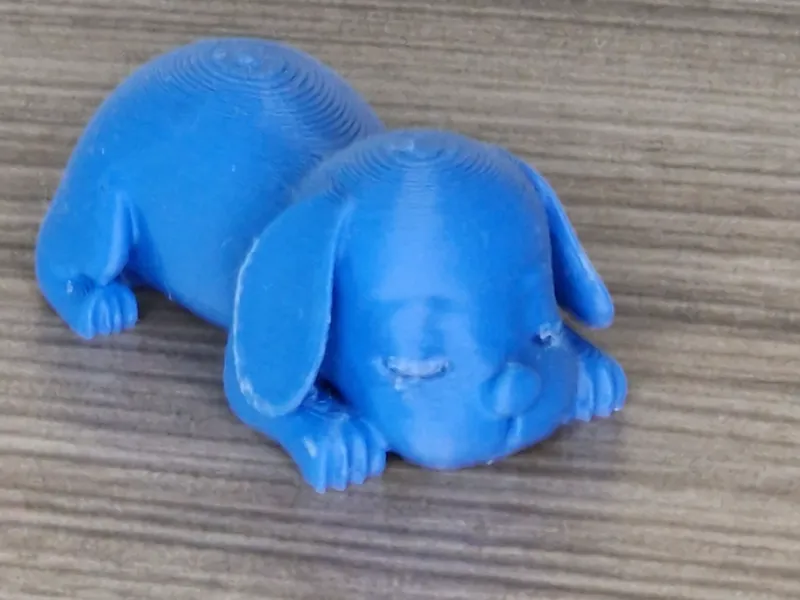 dog keychain