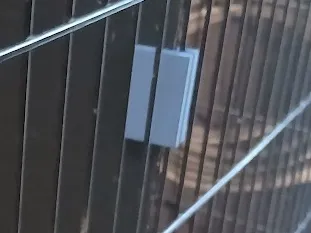 Kennel Clip