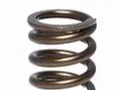 P PUMP SPRING