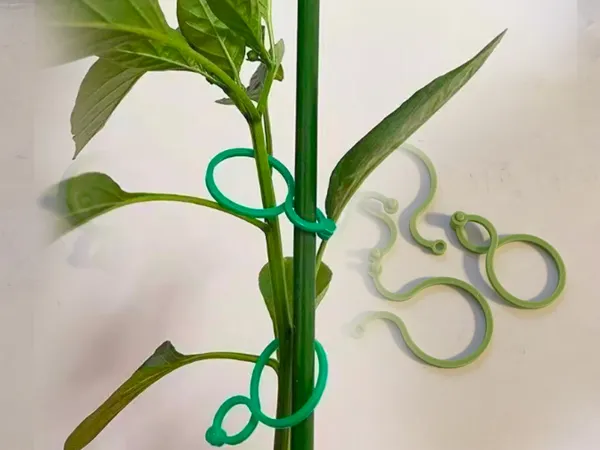 https://makerworld.bblmw.com/makerworld/model/DSM00000001503332/design/2025-06-10_8e872450be2ea.jpg