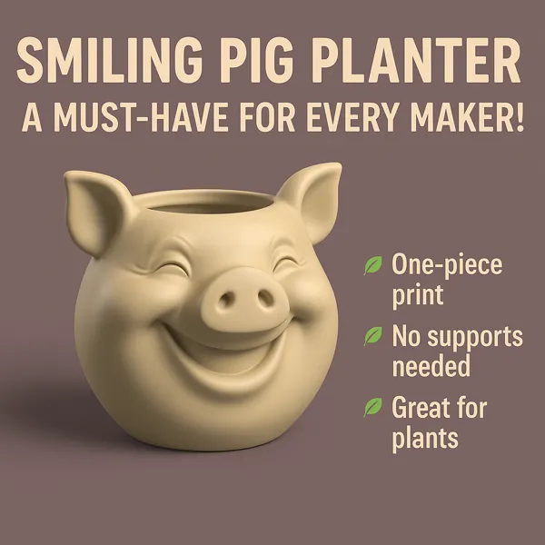 https://makerworld.bblmw.com/makerworld/model/DSM00000001503379/design/2025-06-10_kx0shb8r35ew.png