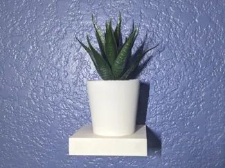 Mini Floating shelf 
