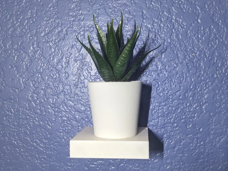Mini Floating shelf 