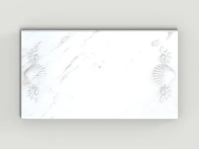Shell Tray