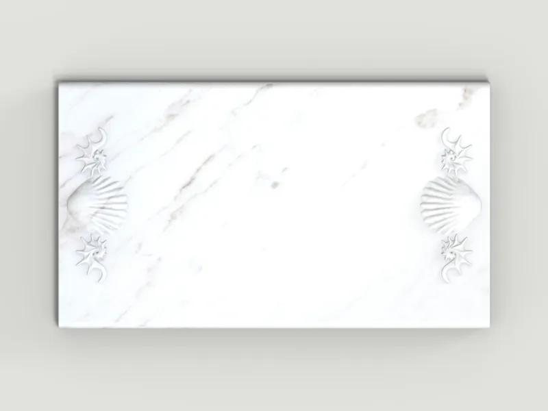 Shell Tray