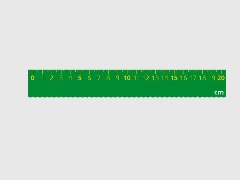 Soild 20cm Ruler