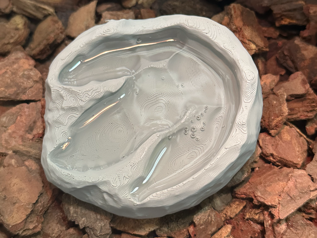 爬宠霸王龙脚印水盆