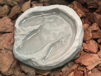 爬宠霸王龙脚印水盆