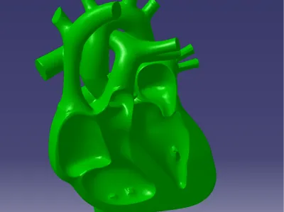 Heart