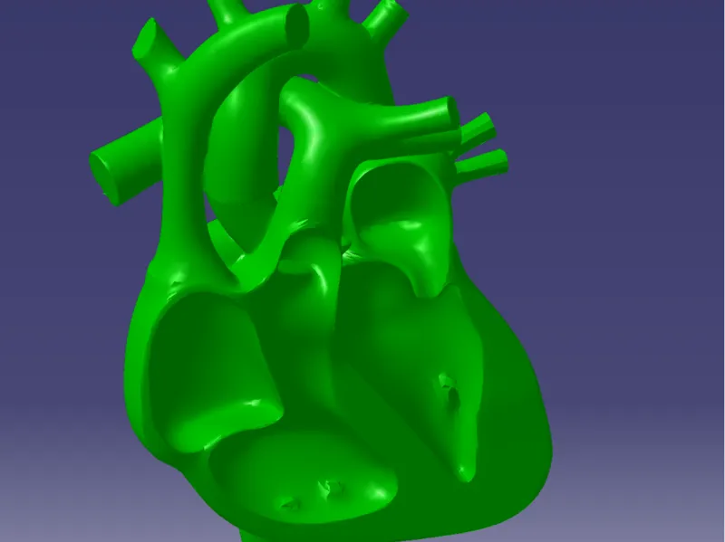 Heart
