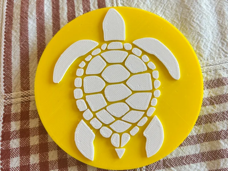 Turtle Coaster