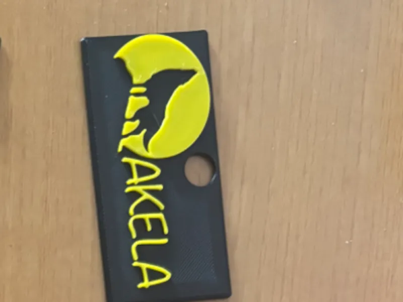 badge nome Akela