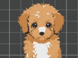 Ari Key Dog