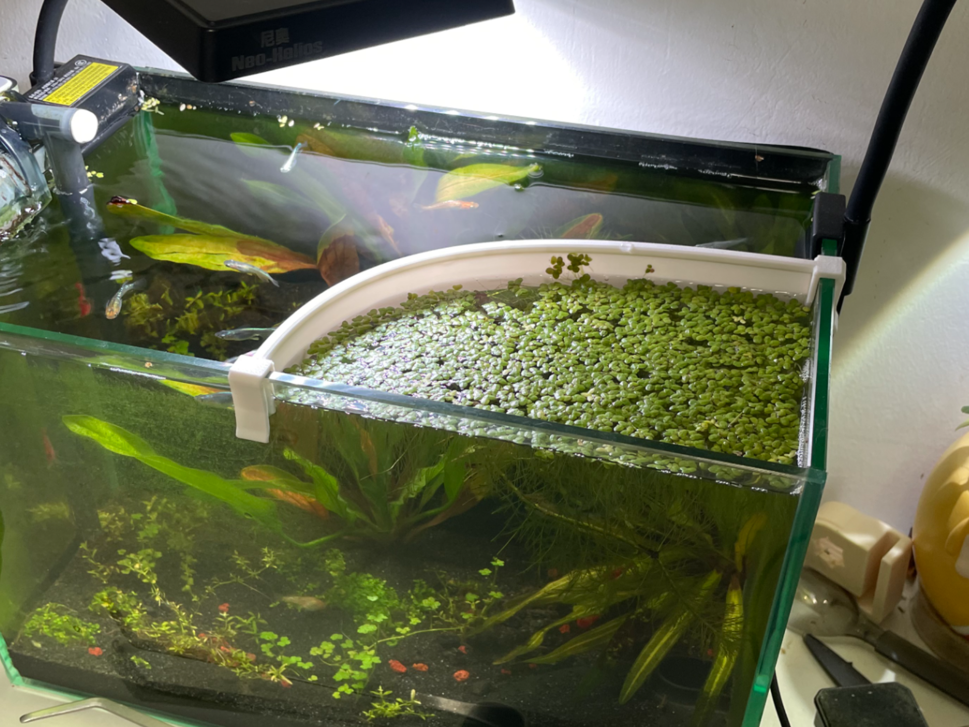 鱼缸浮萍遮挡拦截器