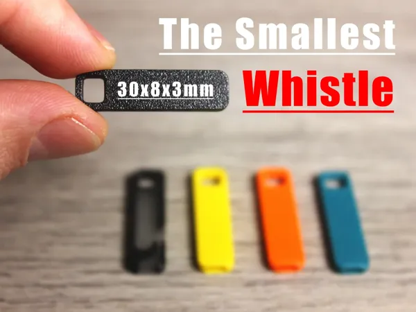 https://makerworld.bblmw.com/makerworld/model/DSM00000001510977/design/2025-06-12_5ff32f333f3098.webp