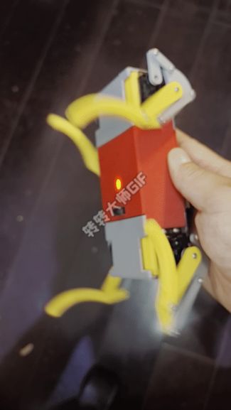 疾风狗——2.4G遥控12舵机四足机器狗v1.0