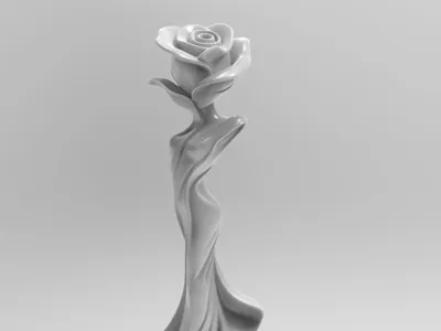 Elegant Rose