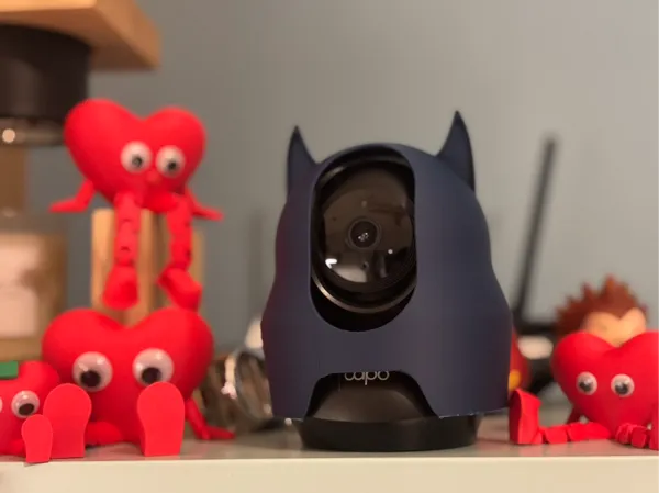 https://makerworld.bblmw.com/makerworld/model/DSM00000001511809/design/2025-06-12_63ecb1bb3c626.jpg