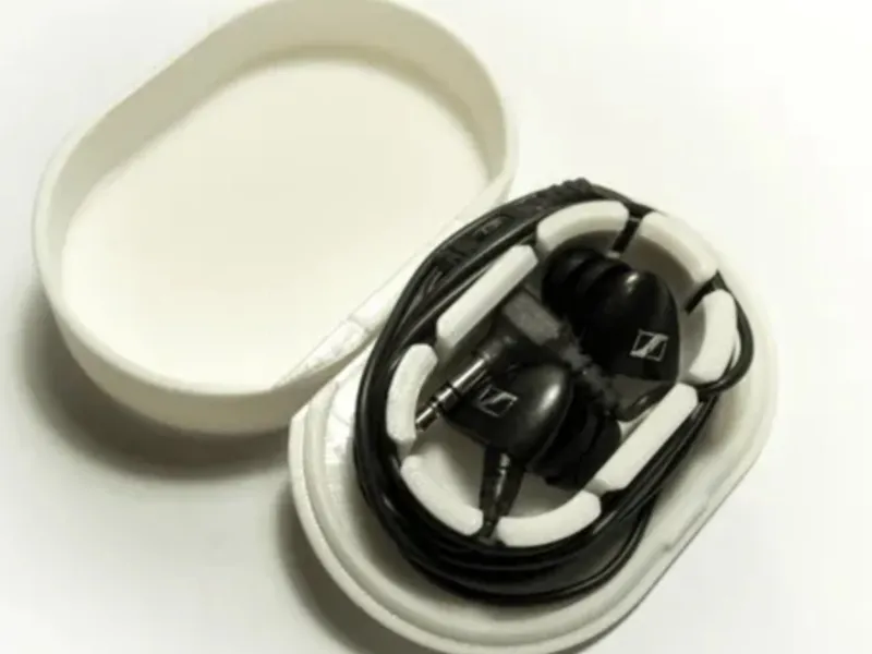 Hinged Case for Earphones