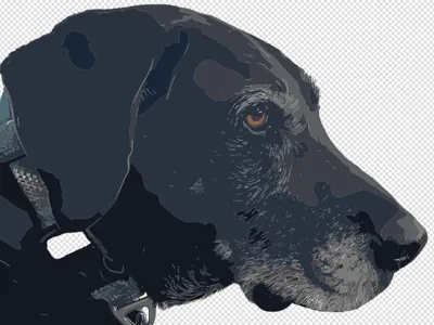 Keychain of my dog