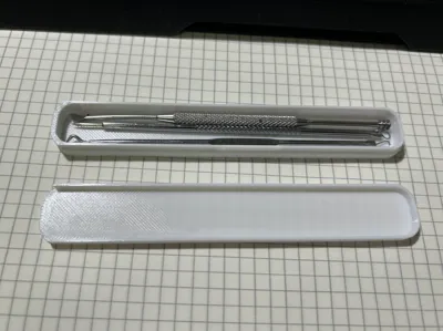 Ear Pick Sliding Storage Box