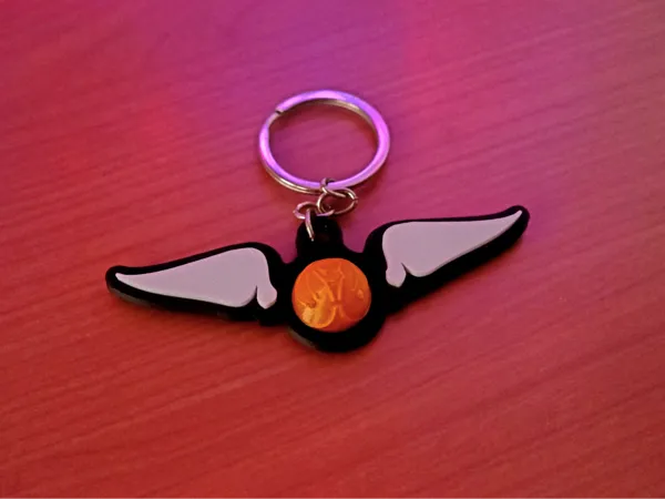 https://makerworld.bblmw.com/makerworld/model/DSM00000001514852/design/2025-06-13_93f9fd2810dfc.jpg