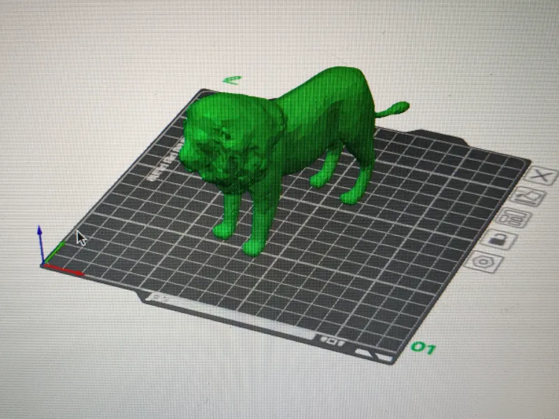 lion