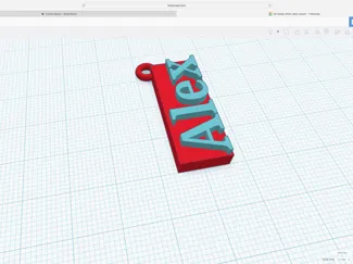 Alex Name tag
