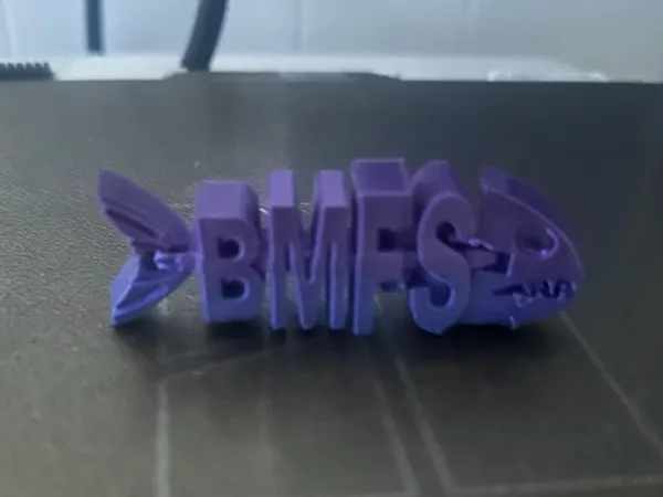 Porte-clés poisson articulé BMFS