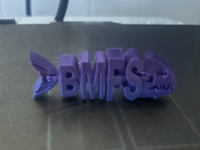 BMFSFish Key chain
