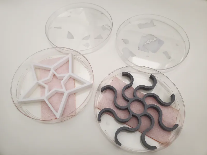 Hemocytometer riser for moisture chamber 