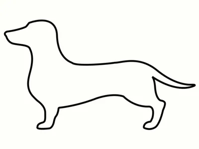 dachshund cookie cutter