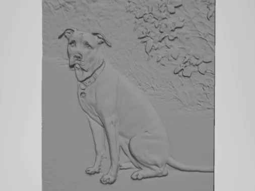 Hund 