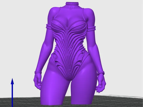 https://makerworld.bblmw.com/makerworld/model/DSM00000001520864/design/2025-06-15_5d12f74a39a718.png