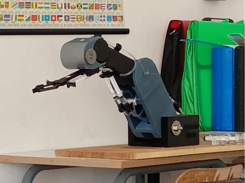 Hydraulic arm