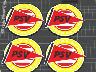 PSV coaster
